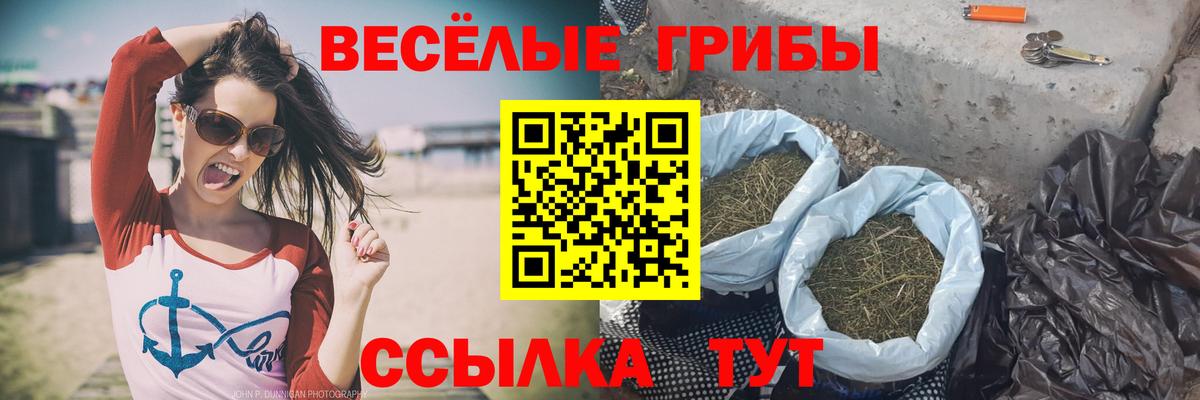 Галлюциногенные грибы GOLDEN TEACHER Орёл