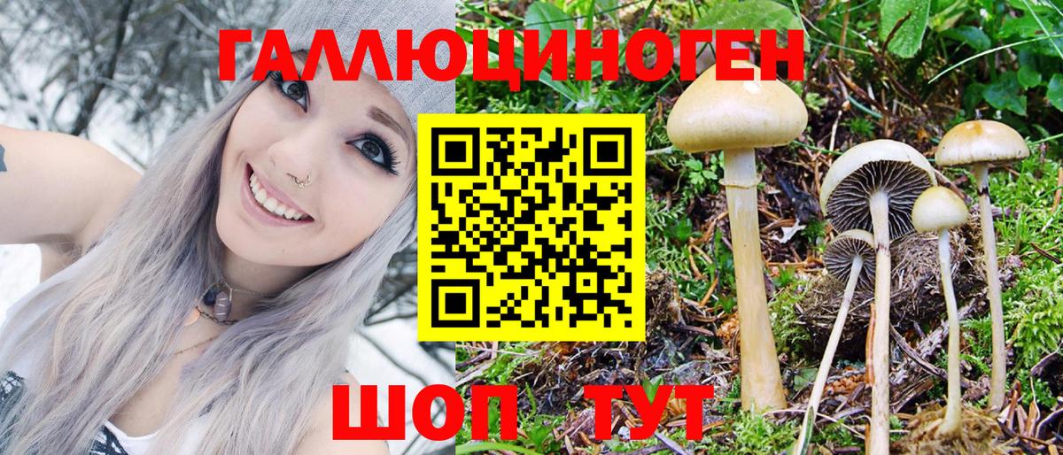 Псилоцибиновые грибы MAGIC MUSHROOMS  Галлюциногенные грибы ЛСД  Вход с VPN  где продают   Орёл 
